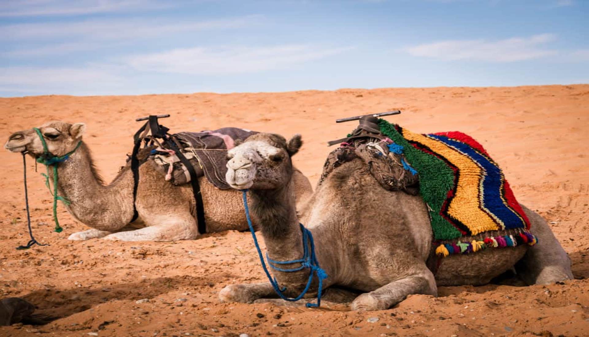 Fes desert tour 2 days