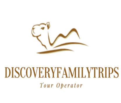 Fezdesert-tours logo