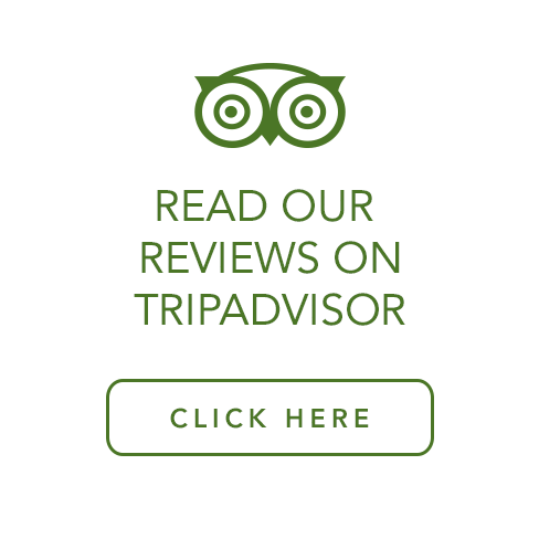 read our reviews on tripadvisor